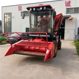 自走式青儲(chǔ)機(jī) 現(xiàn)代農(nóng)業(yè)的高效秸稈收割與青貯解決方案